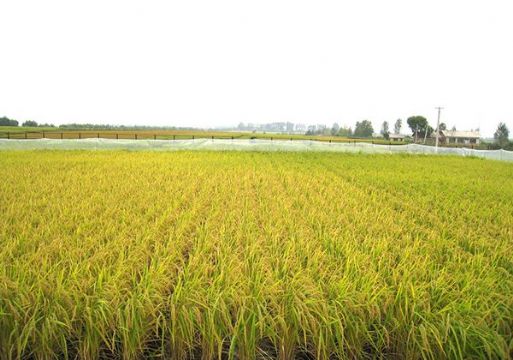 點擊查看詳細信息<br>標題：   閱讀次數：3005